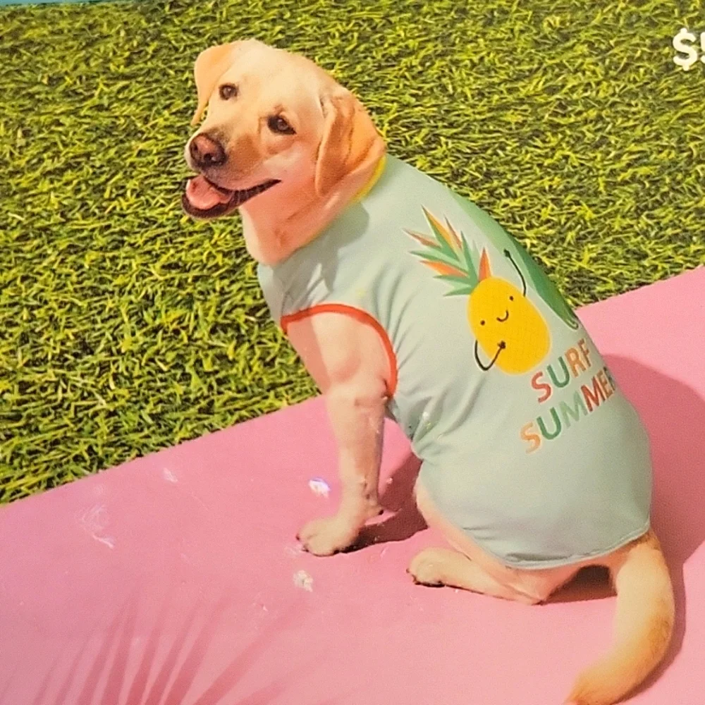HP Sun Squad Medium pet tank top SURF SUMMER pineapple surfboard aqua ye…